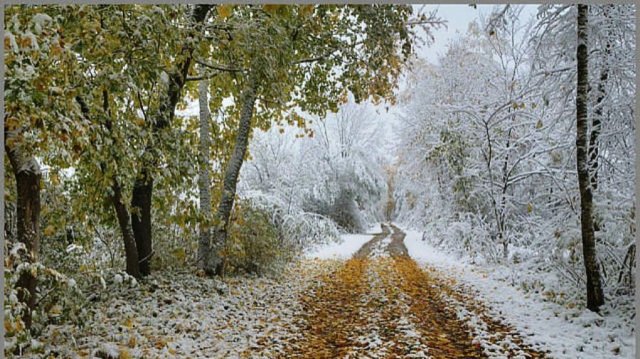 Крах открыточной стены. Покупки для ремонта