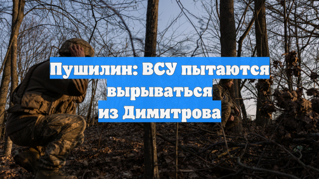 Пушилин: ВСУ пытаются вырываться из Димитрова