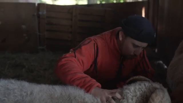 Gloire aux Moutons La Rioule des Compagnons du Monde les Monts Rieurs