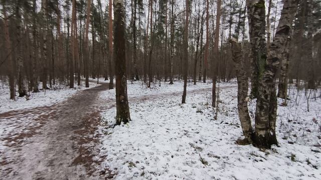 Ультрабобрина проехала мимо