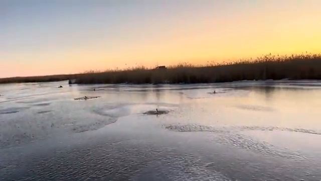 ПЕРВЫЙ ЛЕД 2025-26г В КАЗАХСТАНЕ! СТАРИЦА РЕКИ ИШИМ!