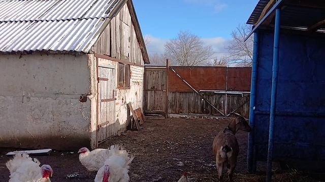 Краткий обзор новостей