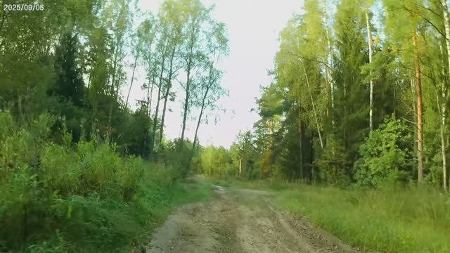 ВелоPЕЛАКС 2. Омутищи - Воспушка - Летово.