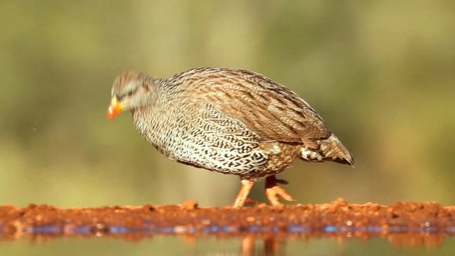 МУЗЫКА ДЛЯ РЕЛАКСАЦИИ