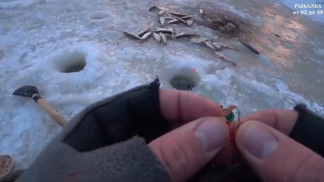 Сегодня я - лифтер. Расширенная версия. Зимняя рыбалка 2025.