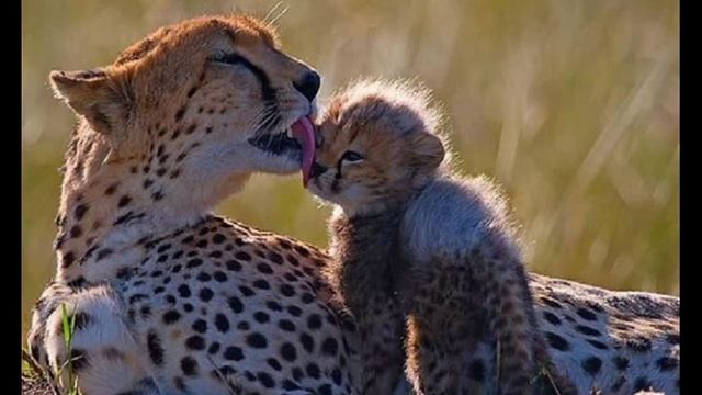 маме от Сони