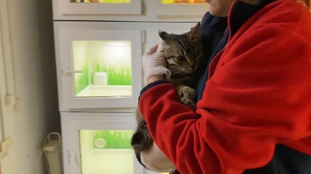 Помните семью из коробки? У нас снова радостные новости! | Ремми