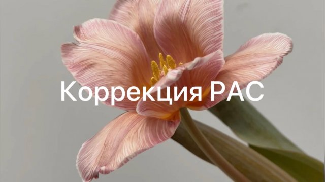 Нутрициологическая помощь при расстройствах аутического спектра.