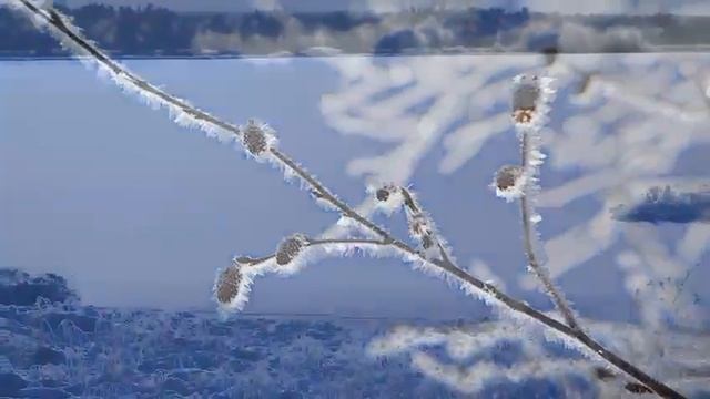 Белоярский ХМАО