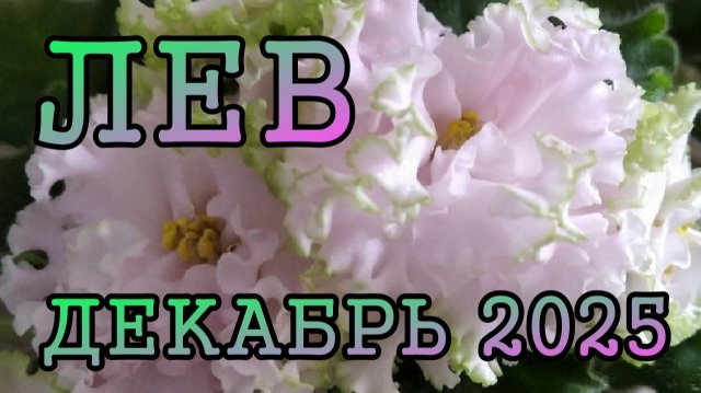 ЛЕВ таро прогноз на ДЕКАБРЬ 2025 года.