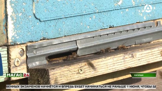 Школьники Малгобекского района Ингушетии присматриваются к будущим профессиям