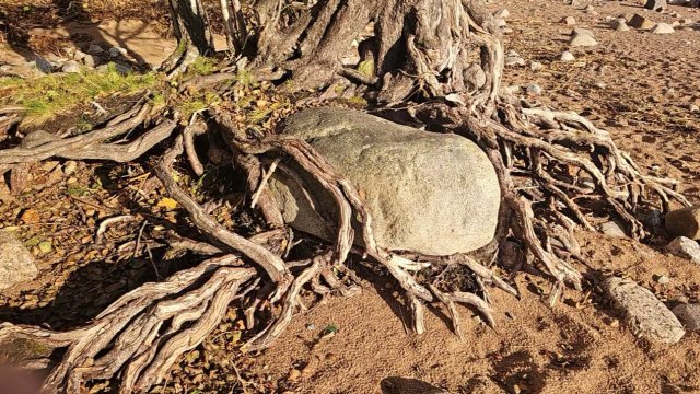 Чудесные мгновения природы. Самые живописные кадры природы | Документальный фильм