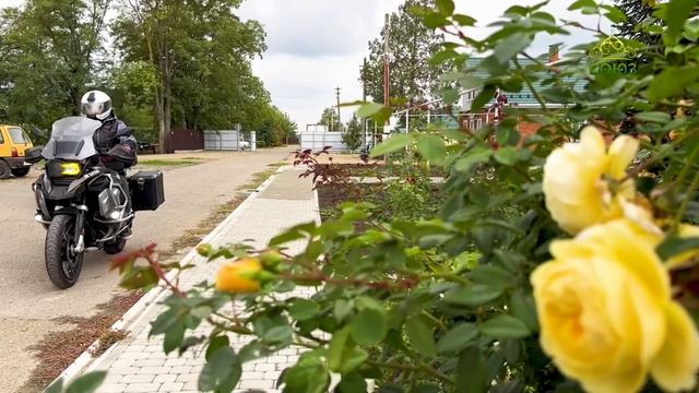 Хлеб жизни. 24 ноября 2025. Новости Ейской епархии