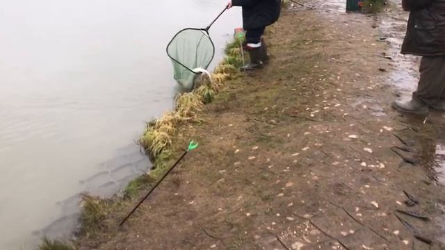 поимка осетра