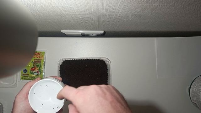 Посадка (проращивание) семян питахайи (драконьего фрукта)