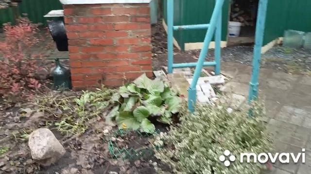 18 ноября домашние и огородные дела