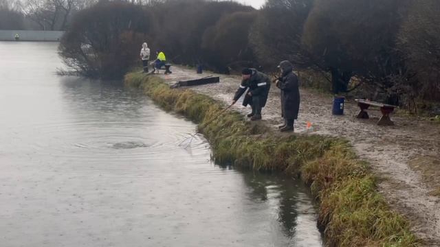 Видеообзор с водоема