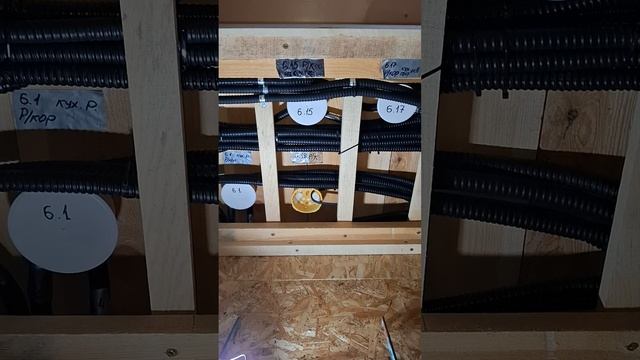 1000040419.mp4 (Собака смотрит на монтаж электропроводки (подключен. 3-х ф. розетки) в доме А-фрейм)