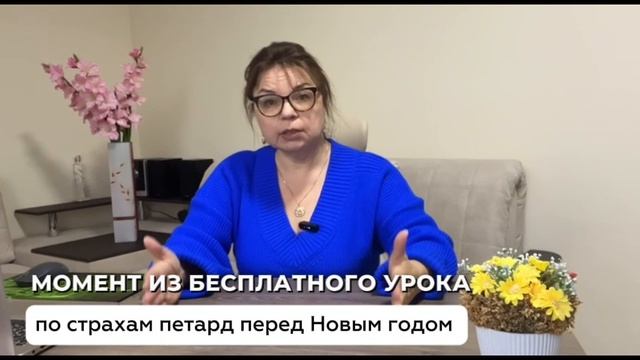 Что нельзя делать с собакой, чтобы не закрепить страх петард в новогодние праздники?