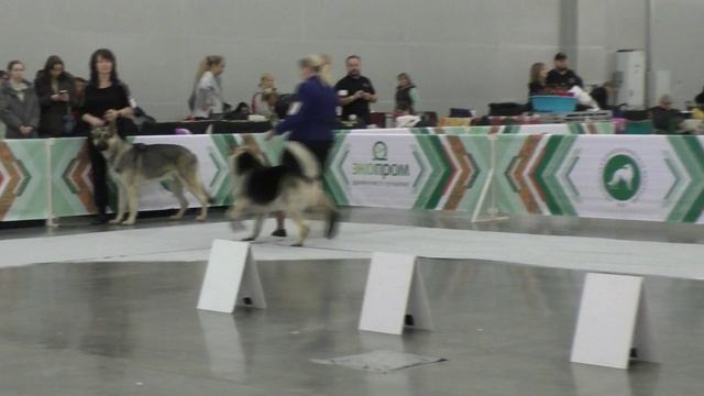 Дарвин Формула Любви