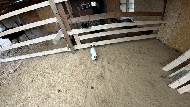 Загон почти готов ! Доп свет в машину ! ХУТОР В ЛЕСУ №888