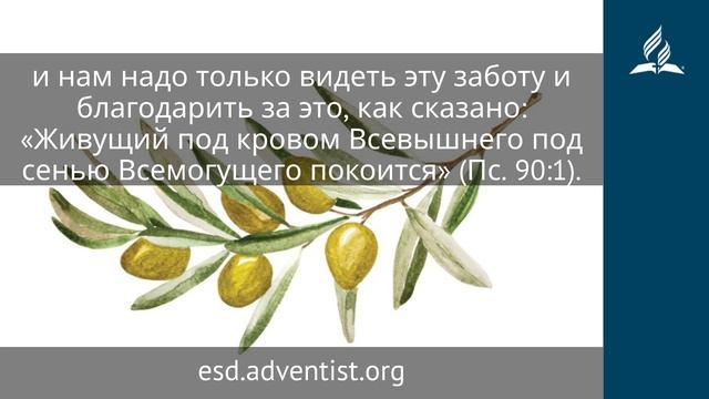 23 ноября 2025. Молитва и благодарность. Под сенью благодати.