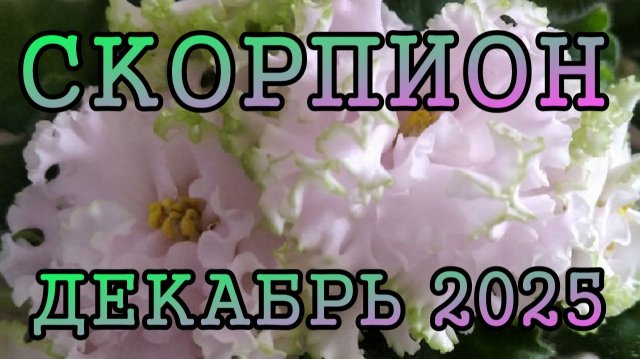 СКОРПИОН таро прогноз на ДЕКАБРЬ 2025 года.