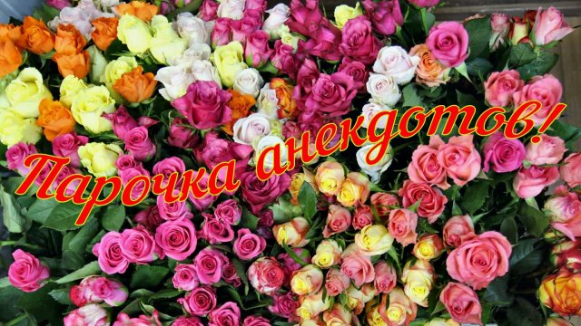 Анекдот про мера Нью-Йорка и про шатдаун.