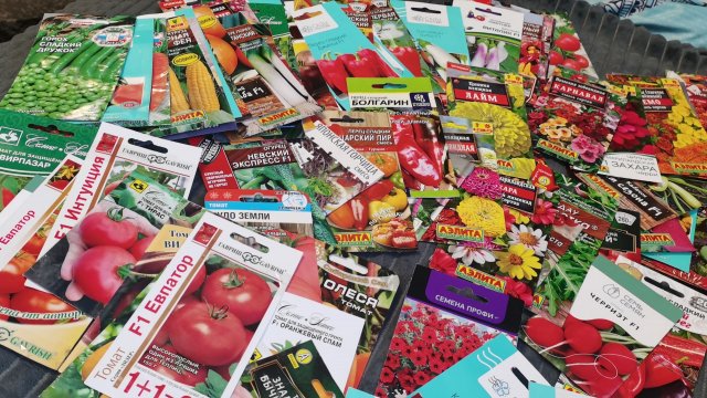 Семена на 2026 год все самое лучшее для урожайного огорода!