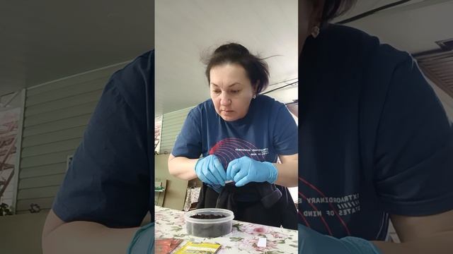 ПЕРЕСАДИЛА ОГУРЦЫ 🥒 ПУСТЬ ЗАКАЛЯЮТСЯ 😊