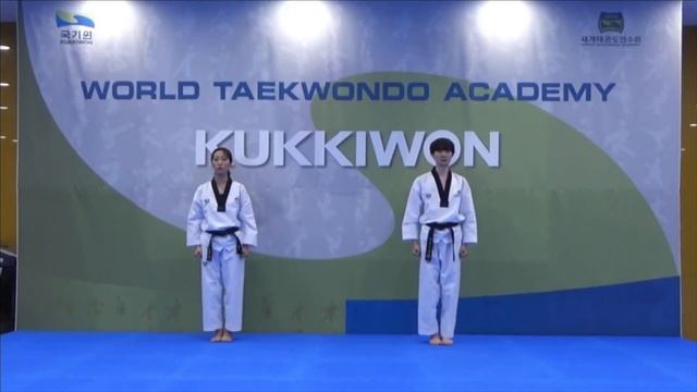 Базовые движения Тхэквондо