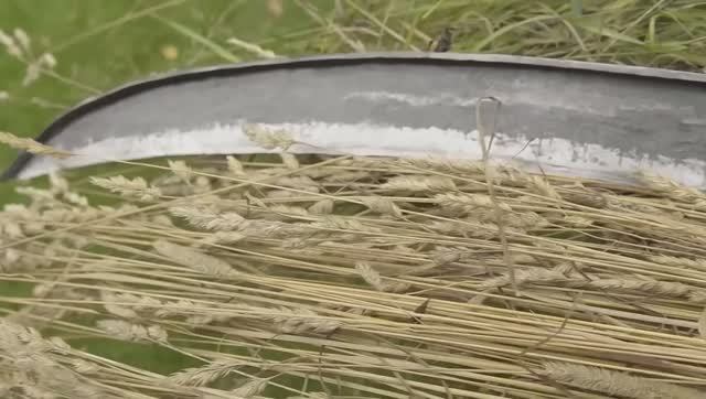 Кузнечное дело. Изготовление косы