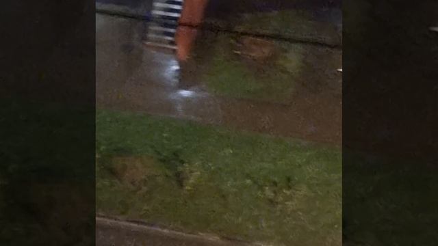 ❄️В Москве и Подмосковье ухудшается погода❄️