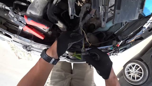 Год без движения и кореец умер