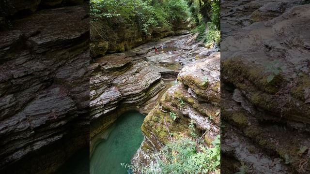 Коты | Цветы | Природа! #мирувлечений#красота#путешествия#хорошеенастроение