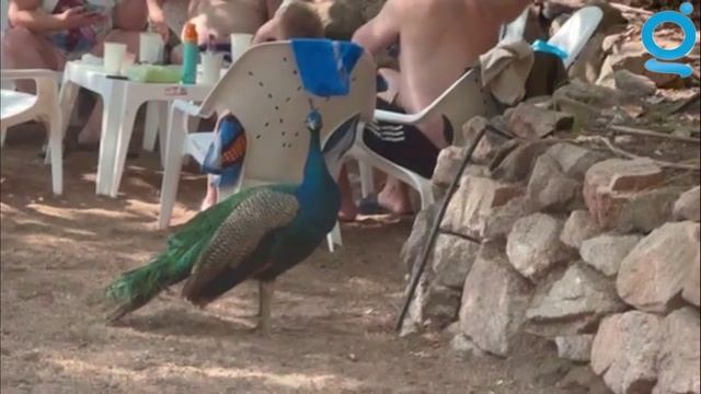 Медитативное путешествие в Эйлат