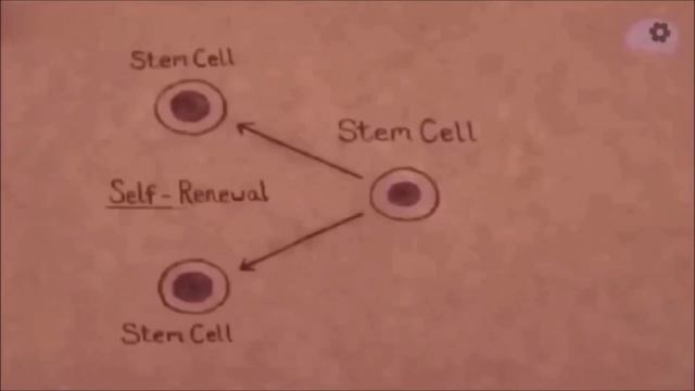 Всемирная МЕДИЦИНСКАЯ МАФИЯ или КОМУ ПЕРЕШЁЛ ДОРОГУ профессор ГАРЯЕВ ❗❗ - смотреть видео онлайн .mp4