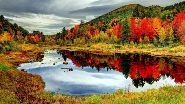 Чудо осень!