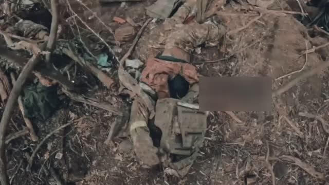 Живых нет получается