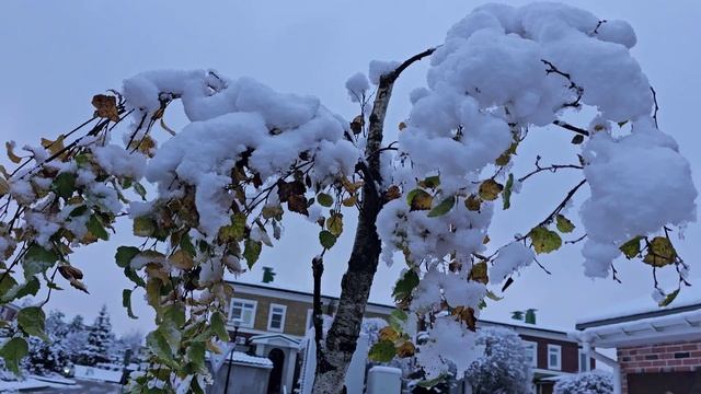 Из сезона в сезон