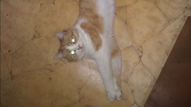 Ему удобно так кушать..!😆