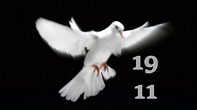 19.11.2024 - Прямая трансляция ст.Елизаветинская