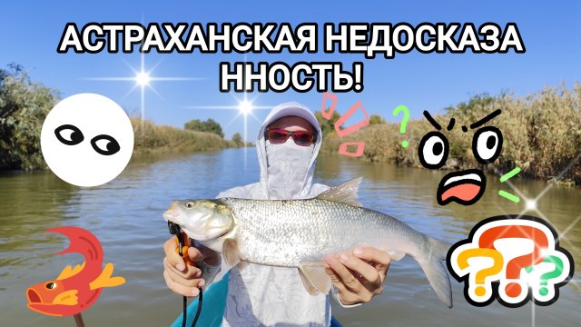 АСТРАХАНСКАЯ НЕДОСКАЗАННОСТЬ🎣😎 #рыбалка #fish #fishing #природа #отдых #рыба #shorts #красота #шок
