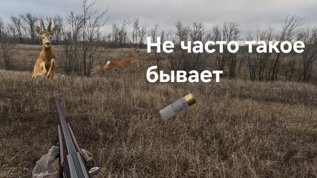 Загонная охота. Редкий случай, срезало как бритвой
