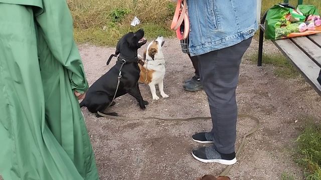 Моя Жизнь Кино @Музей