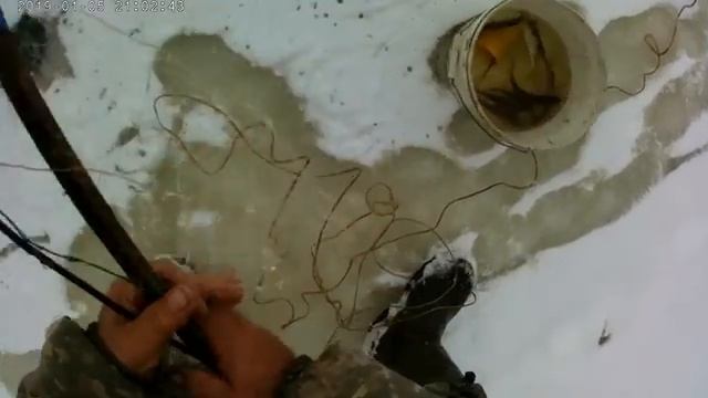 Ловим живцов и ставим жерлицы..