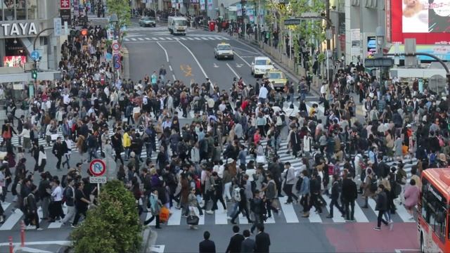 Космическая погода | Выпуск 21