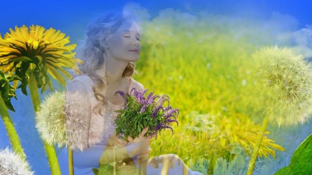 284.=Одуванчик-ст.А.Зенцов,муз.Ю.Чуфаров,поет М.Папст,монтаж.В.Зубкова.