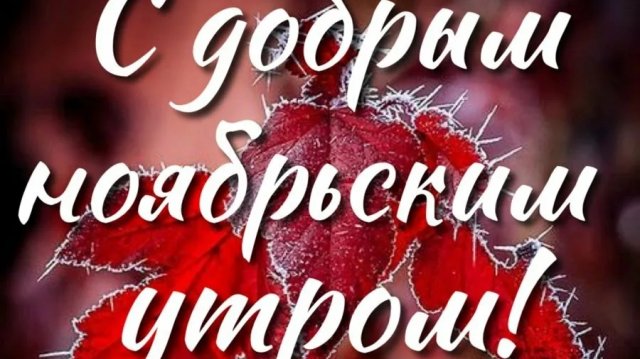 С добрым ,ноябрьским утром!