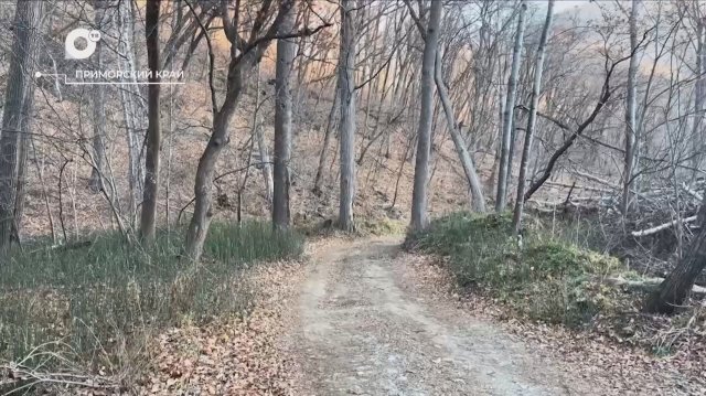 Разведка блогом / Макаровские водопады / 18.11.25